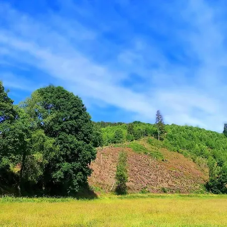 Fewo Mit Terrasse Und Bergblick- Appartamento Winterberg