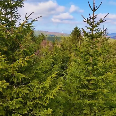 Fewo Mit Terrasse Und Bergblick- Appartamento Winterberg