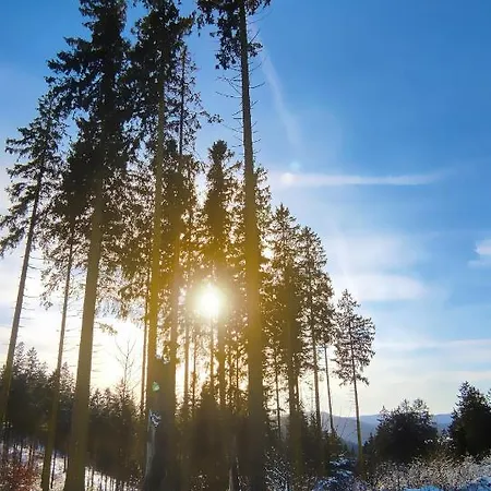 Fewo Mit Terrasse Und Bergblick- Appartamento Winterberg