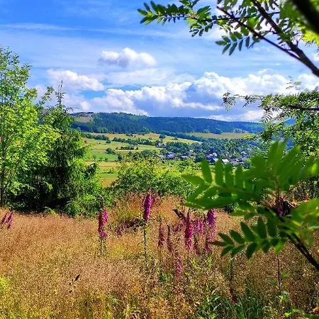 Fewo Mit Terrasse Und Bergblick- Appartamento Winterberg