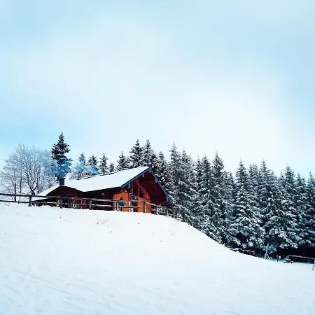 Fewo Mit Terrasse Und Bergblick-