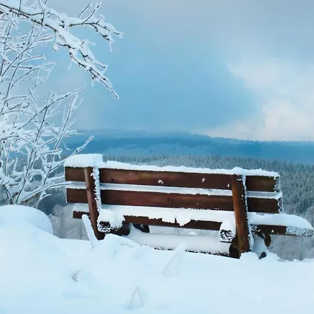 Appartamento Fewo Mit Terrasse Und Bergblick- *