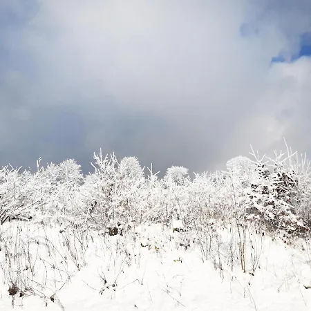 Appartamento Fewo Mit Terrasse Und Bergblick- Winterberg