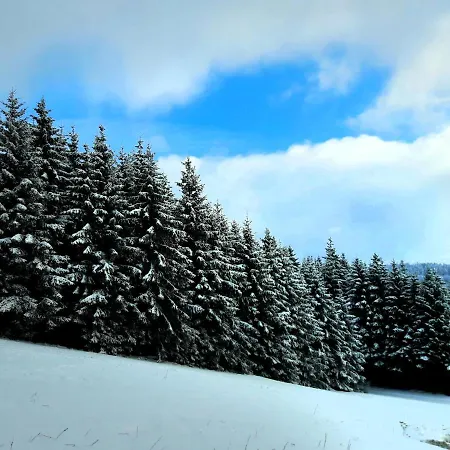 Fewo Mit Terrasse Und Bergblick- Appartamento Winterberg