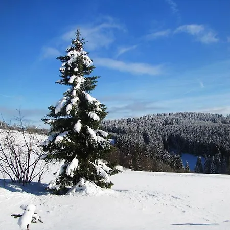Fewo Mit Terrasse Und Bergblick- Appartamento